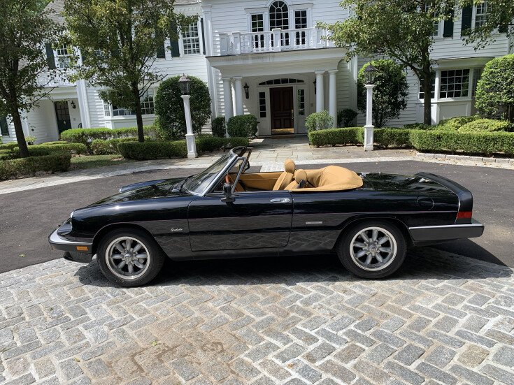 Thumbnail Photo undefined for 1988 Alfa Romeo Spider Graduate